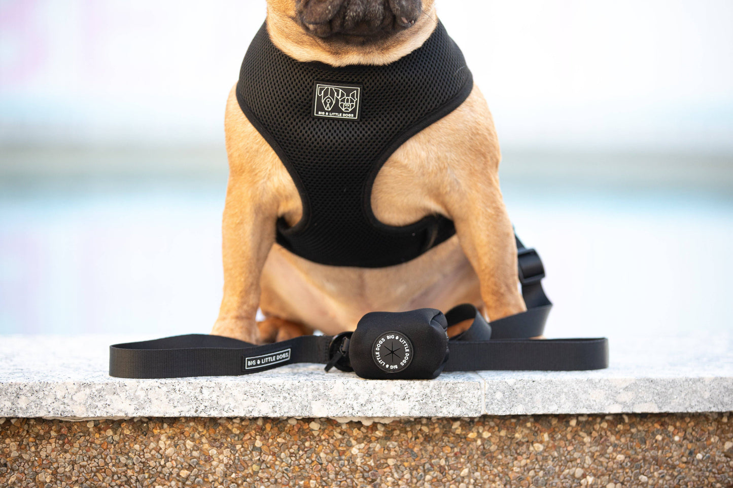 DOG POOP BAG HOLDER: Black