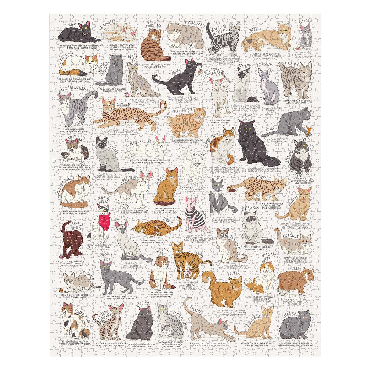 Ridleys Cat Lover's 1000 Piece Jigsaw Puzzle