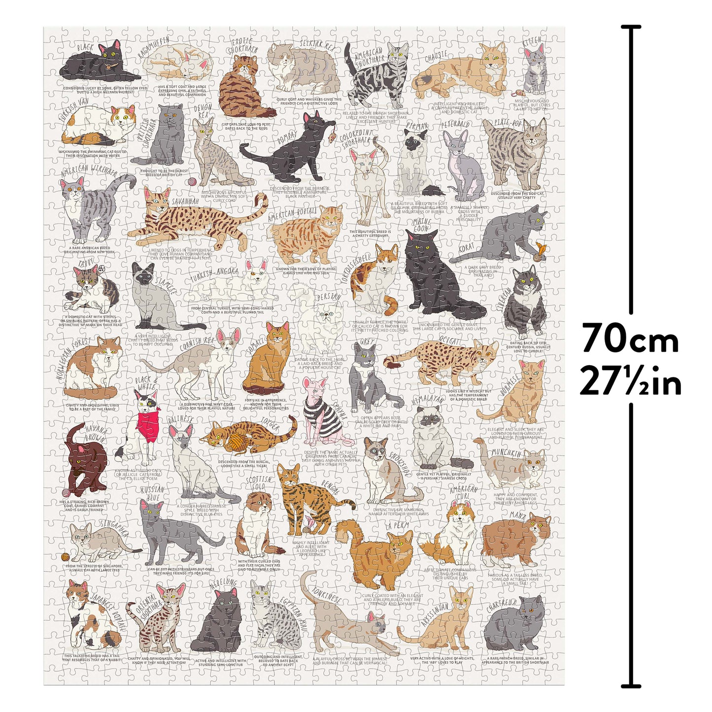 Ridleys Cat Lover's 1000 Piece Jigsaw Puzzle
