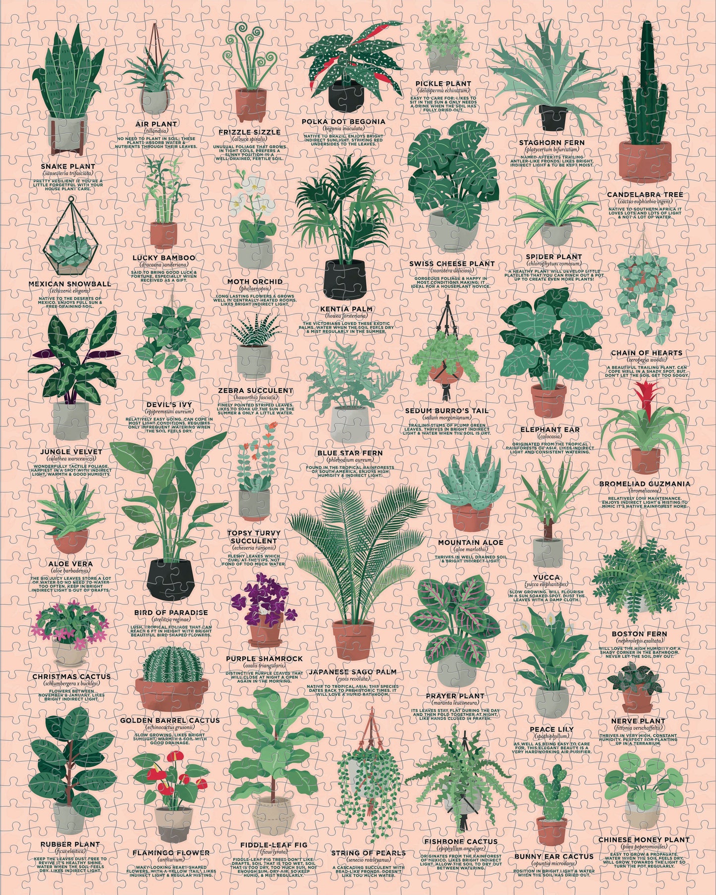 Ridleys House of Plants 1000 Piece Jigsaw Puzzle