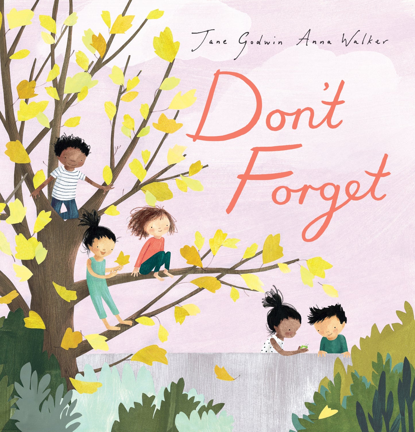 Don't Forget Jane Godwin