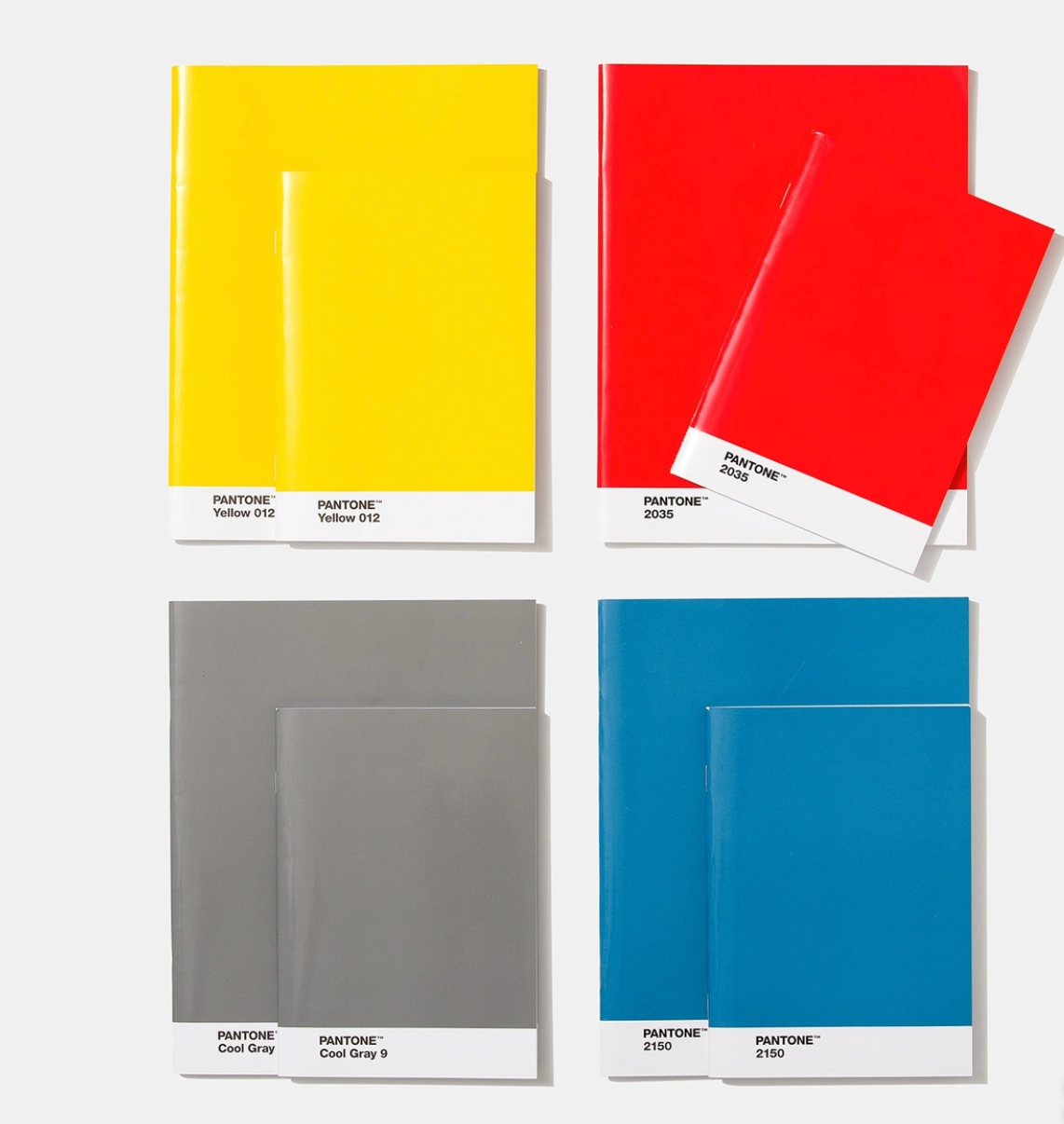 Pantone notebook set