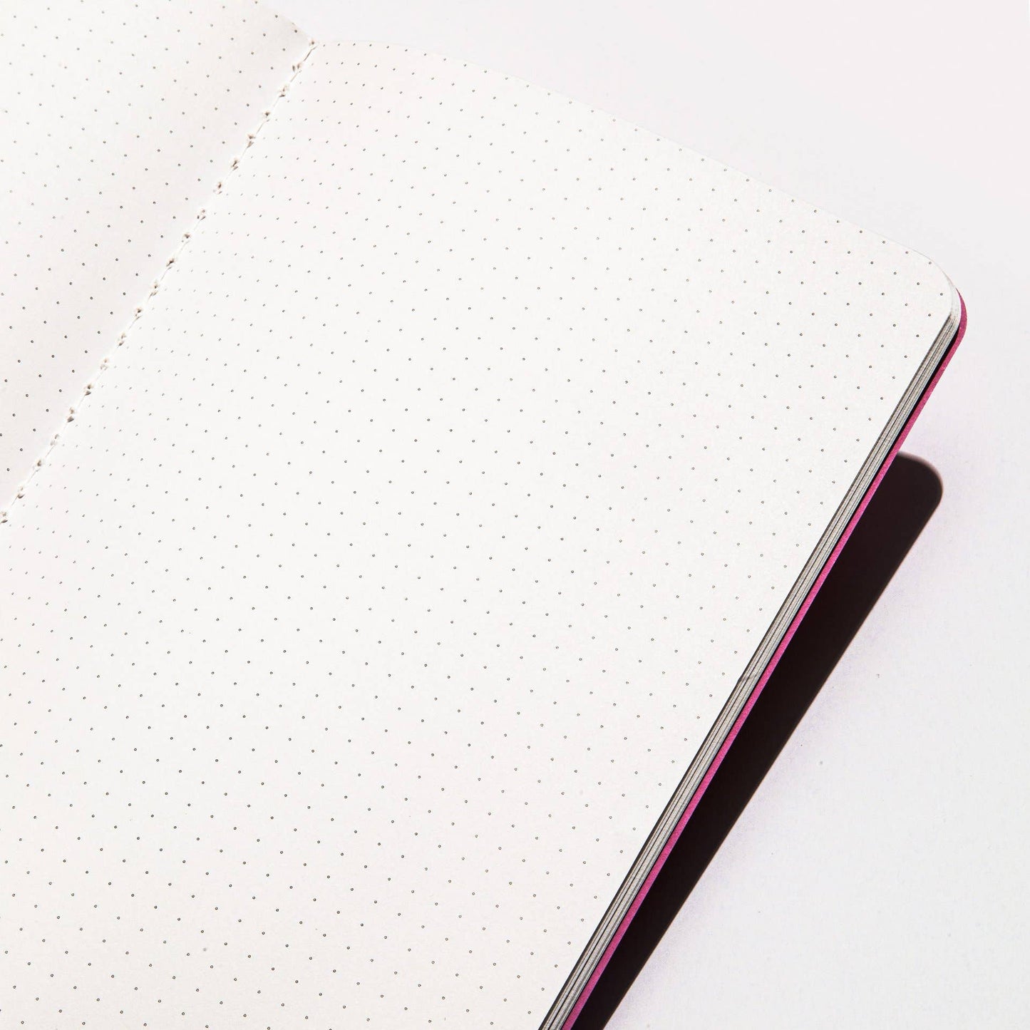 Everyday Notebook in Dotted