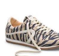 Jamaica Zebra Summer