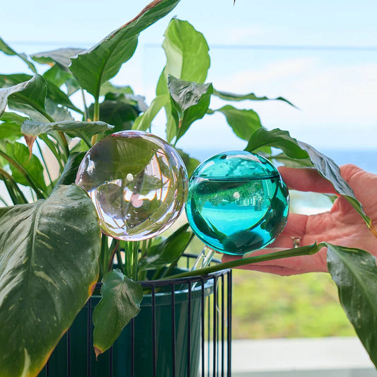 Plant Water Globes - Pink & Green - Set of 2